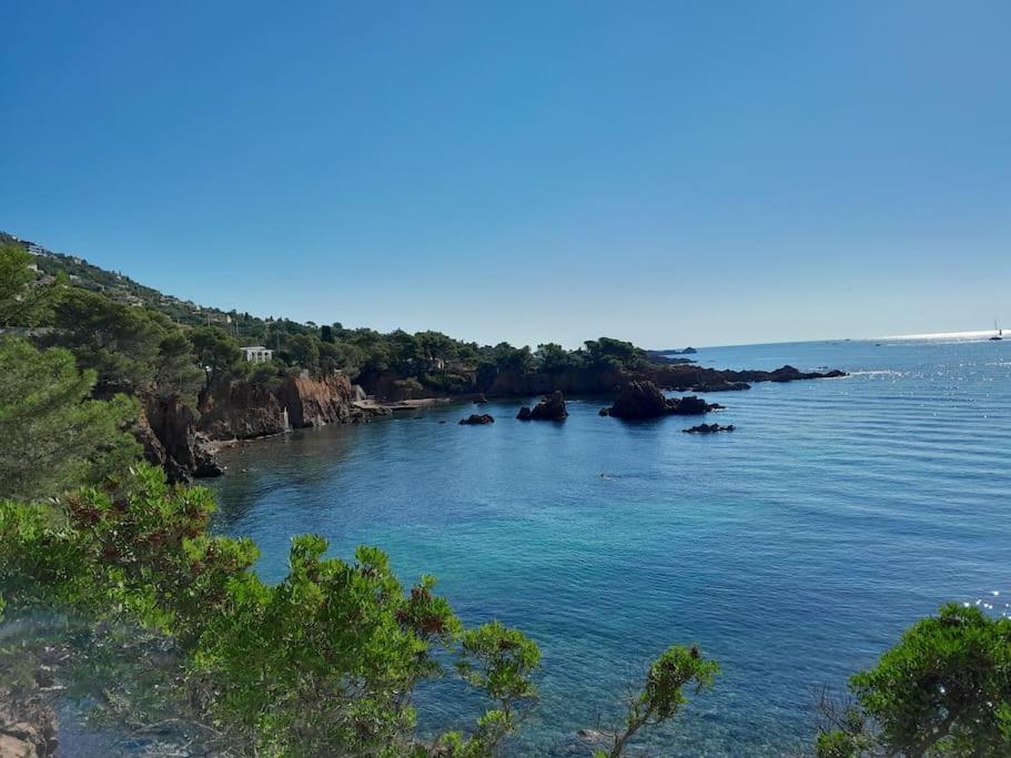 Charmant Studio Lumineux Avec Parking Prive Saint-Raphaël Exteriör bild