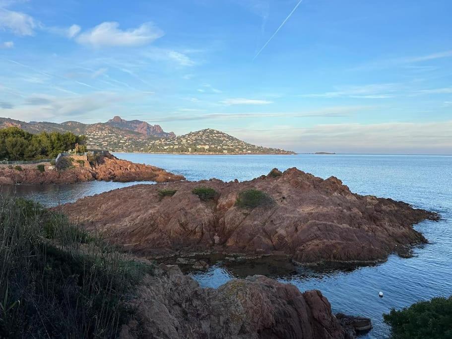 Charmant Studio Lumineux Avec Parking Prive Saint-Raphaël Exteriör bild